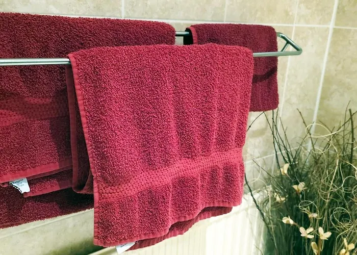 Langford Executive 布里斯托